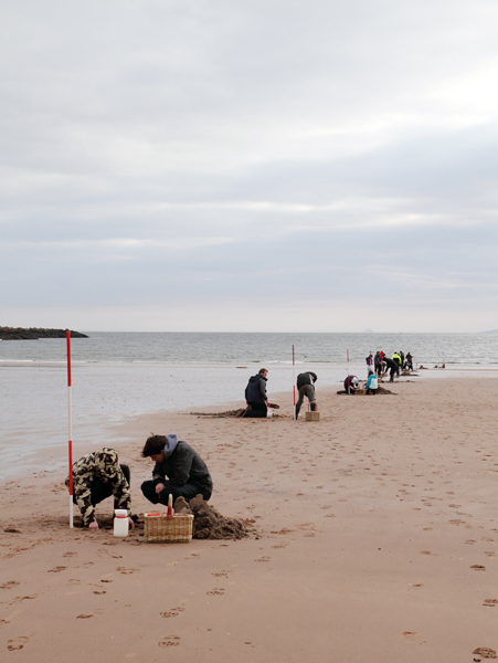HSC006: Beach Transect - Marine Science and Conservation