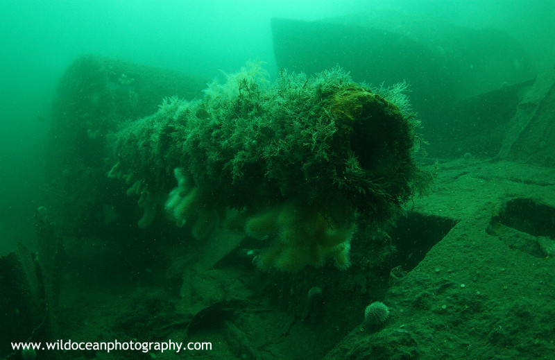 USW044: Karlsruhe Gun - Shipwrecks and Divers
