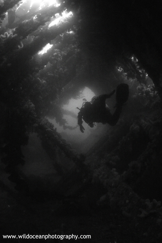USW002: Oceana BW - Shipwrecks and Divers