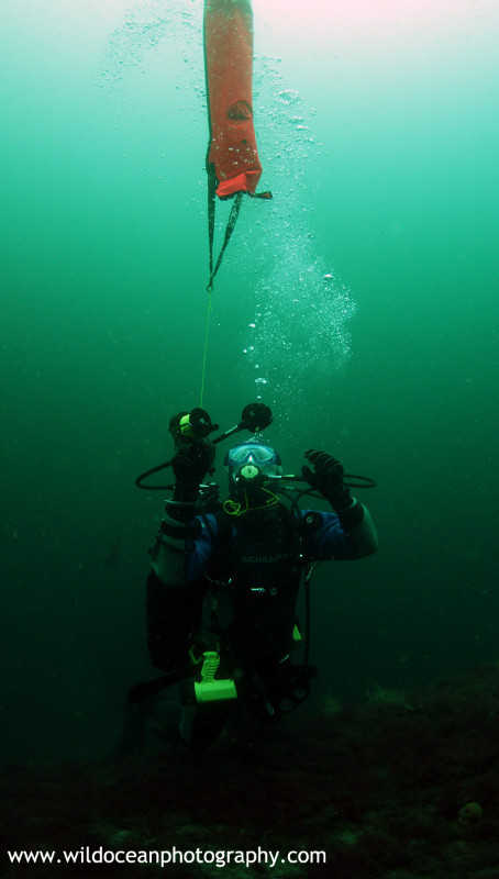 OSW031: DSMB deployment - Shipwrecks and Divers