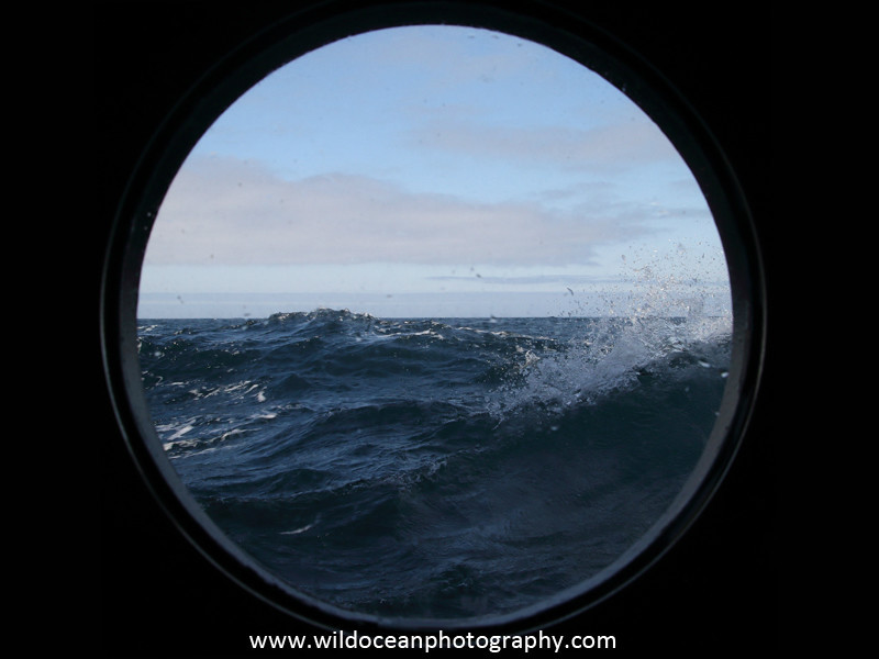Day 14 - Days at Sea