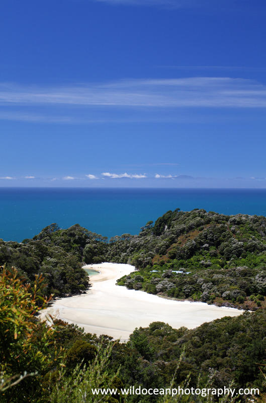 NZ001: Abel Tasman Beach - New Zealand (Wellington & South Island)