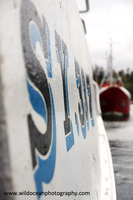 HTF006: Fishing boats - Trawl Fisheries