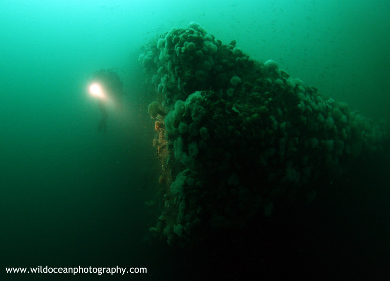 OSW023: Coln Bows - Shipwrecks and Divers