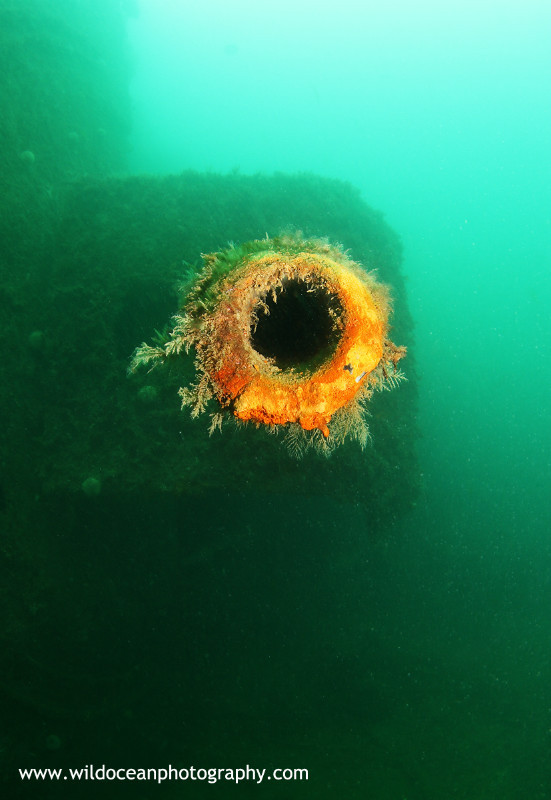 USW013: F2 Gun - Shipwrecks and Divers
