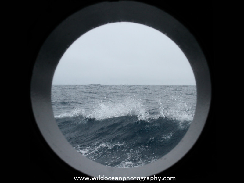 Day 24 - Days at Sea