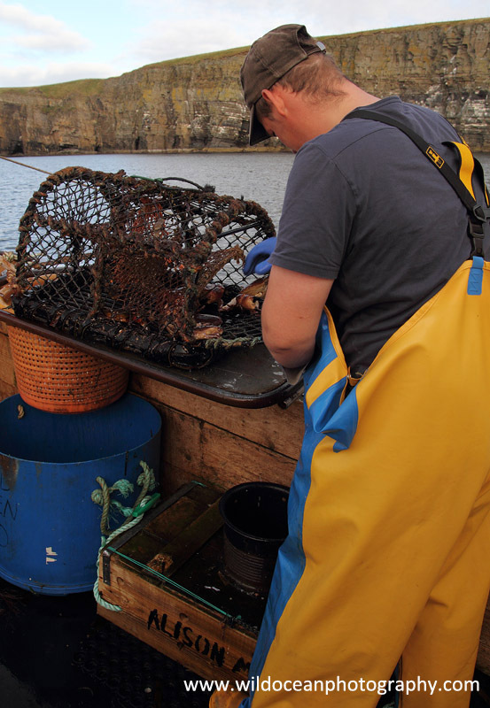 HCF013: Working the pots - Creel (Trap) Fisheries
