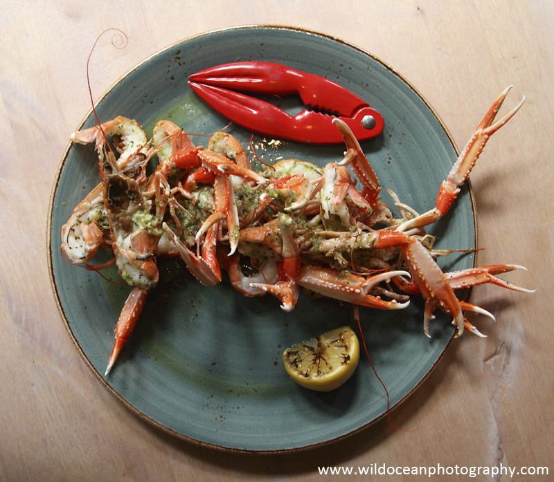 GSF014 - Langoustine dinner - 'Creel to Meal' (Glasgow Science Festival)