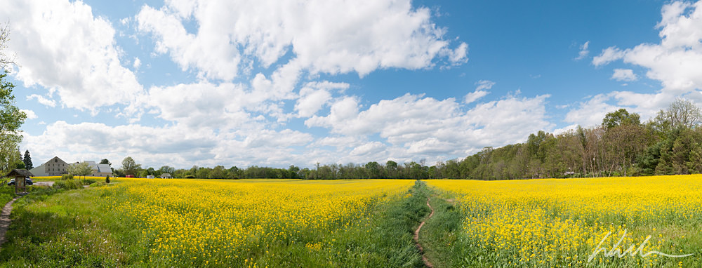 _WDB6257-Pano - Landscapes...