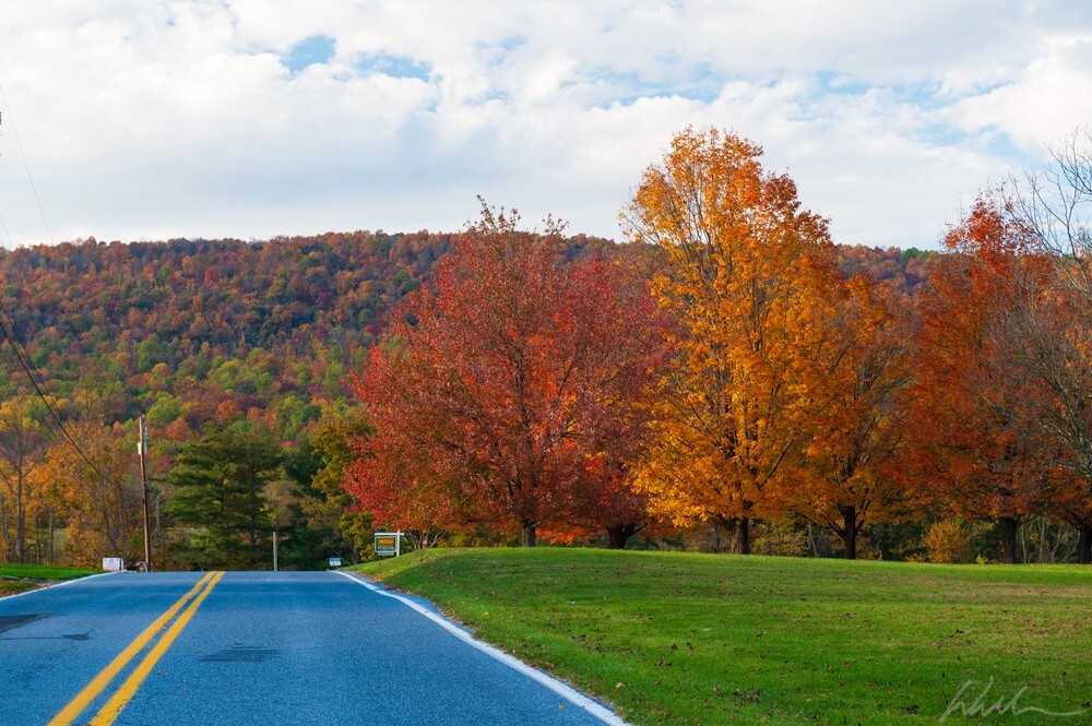 DSC_1837 - Landscapes...