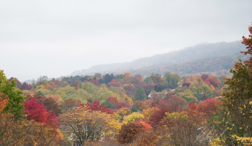 DSC_1846 - Landscapes...