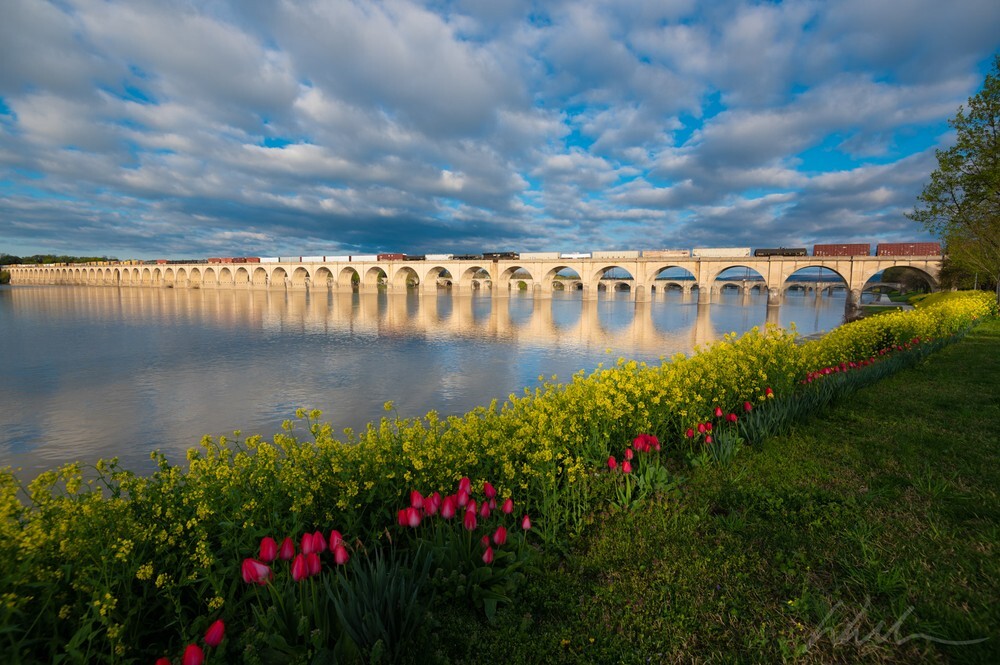 DSC_9846 - Harrisburg Area, Pennsylvania