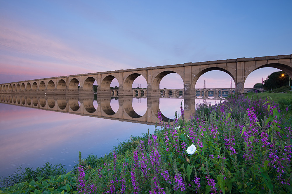 Railroad Bridge Sunrise Flowers - Harrisburg Area, Pennsylvania