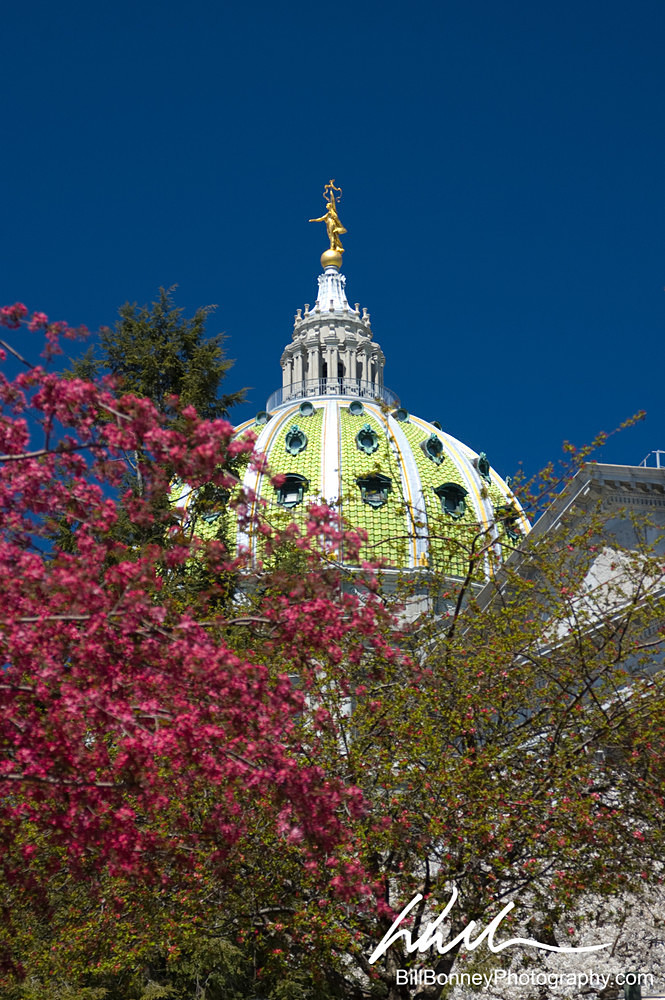 DSC_0030 - Harrisburg Pennsylvania