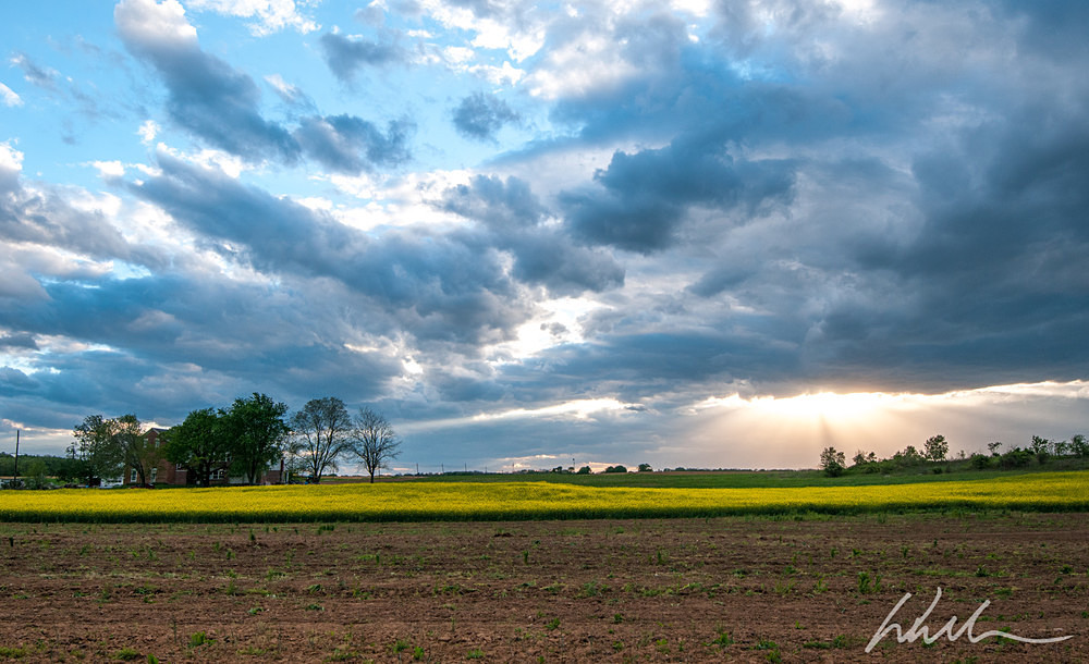 _WDB6571 - Landscapes...
