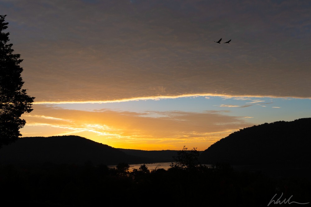 DSC_1720 - Landscapes...