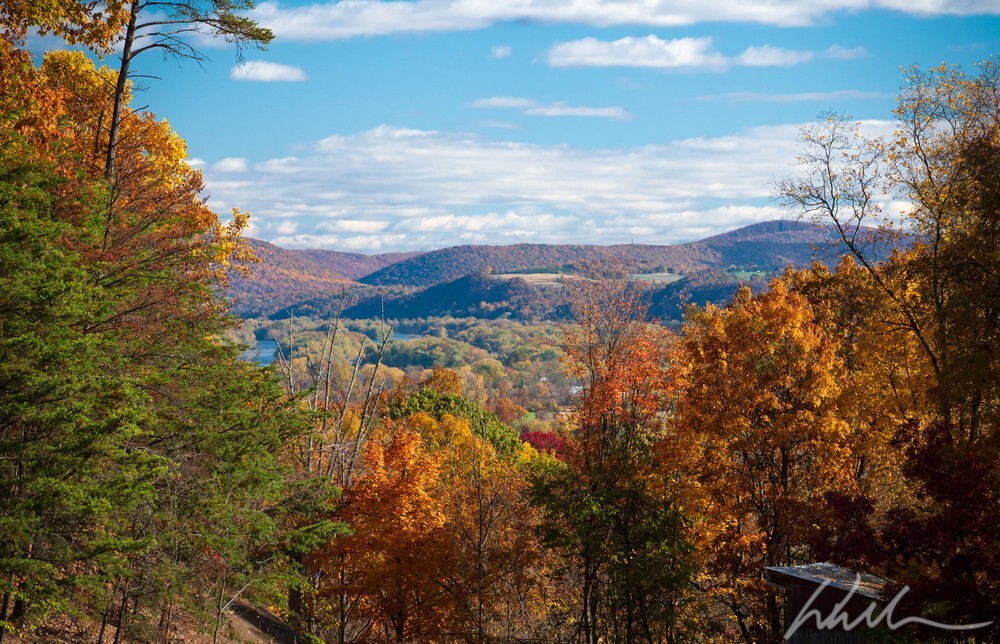 DSC_7805 - Landscapes...