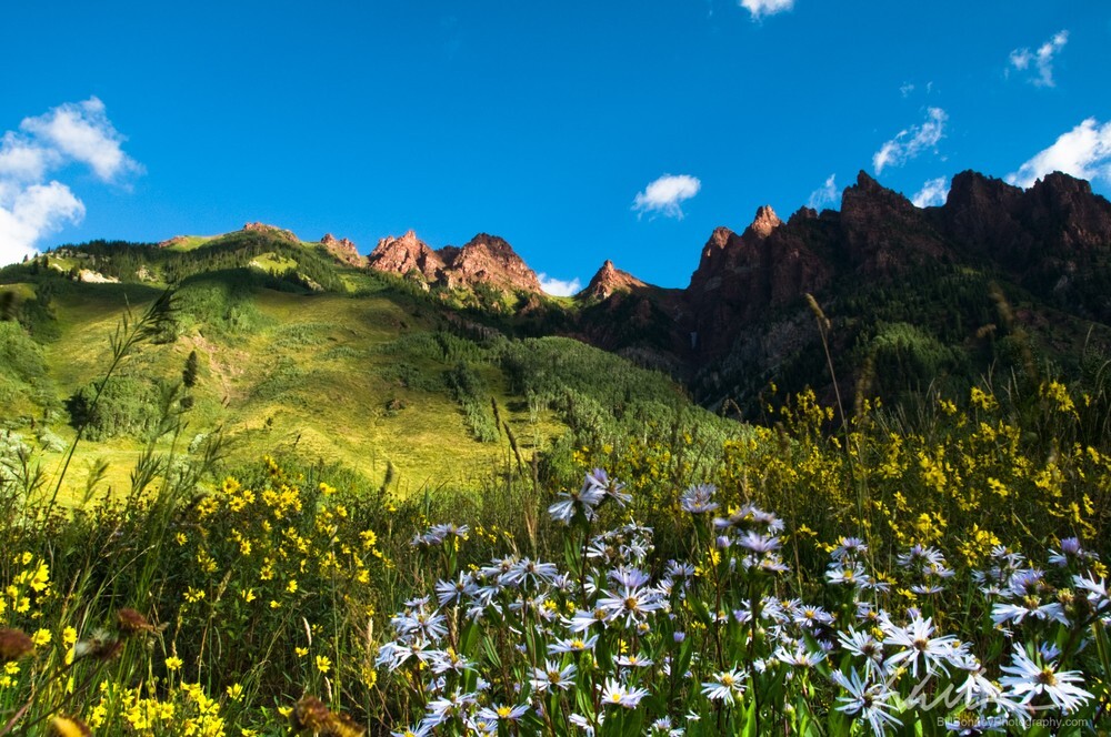 _DSC0930 - Landscapes...