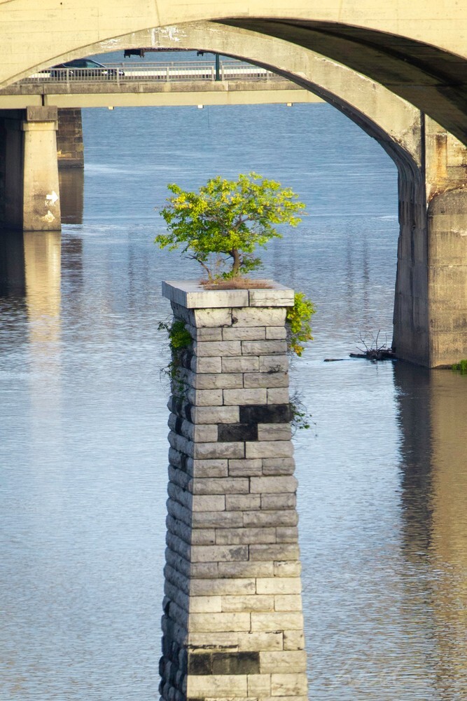 DSC_6974 - Harrisburg Pennsylvania