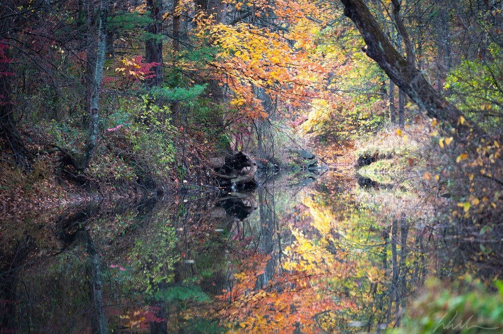DSC_2215 - Landscapes...