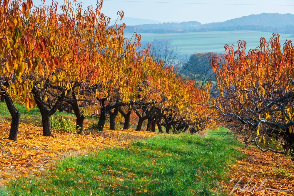DSC_8406 - Landscapes...