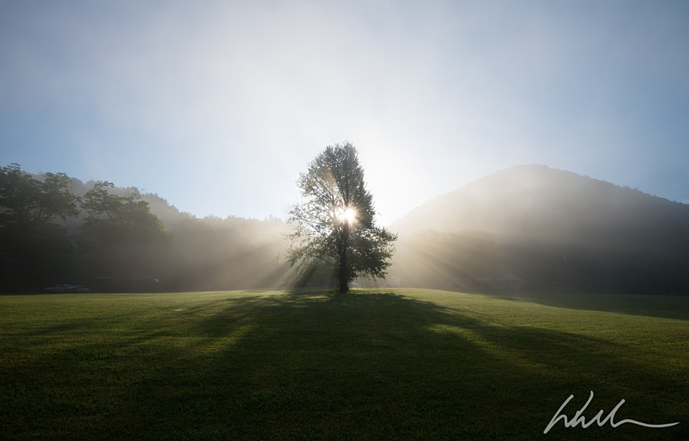 DSC_8500 - Landscapes...