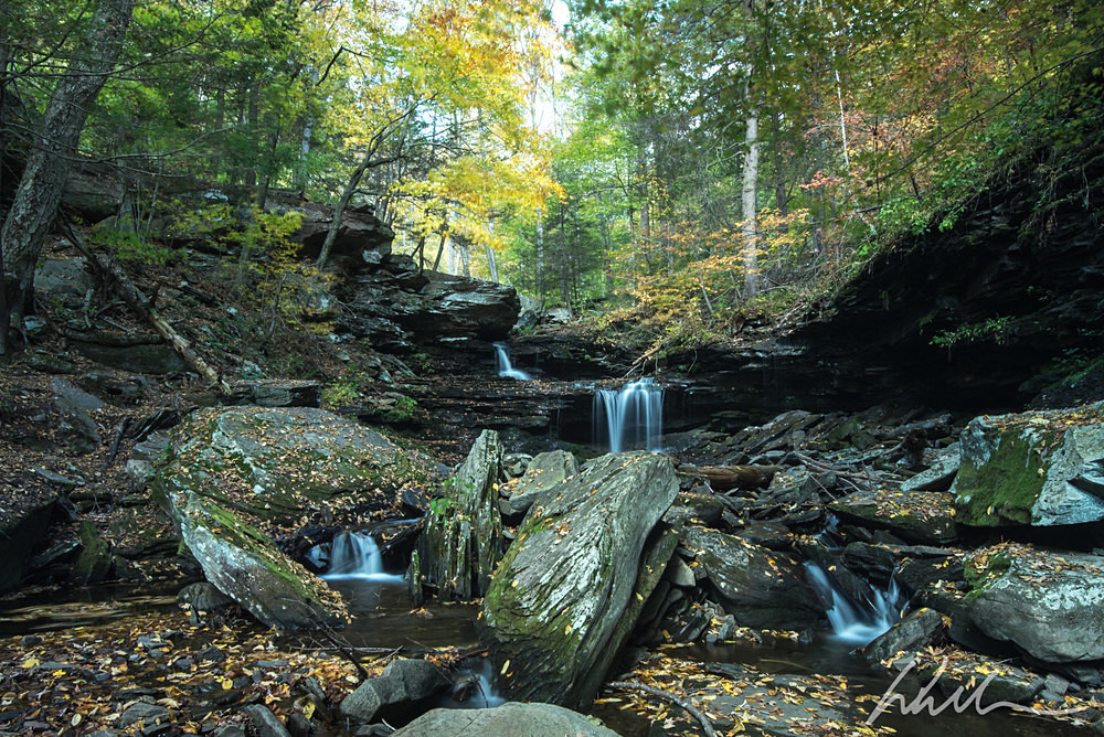 DSC_2686 - Landscapes...