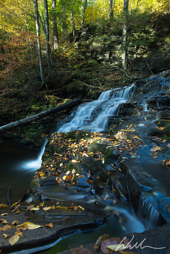 DSC_2483 - Landscapes...