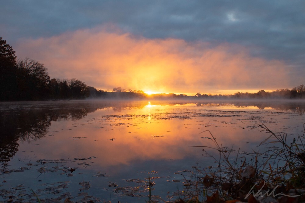 DSC_2109 - Landscapes...