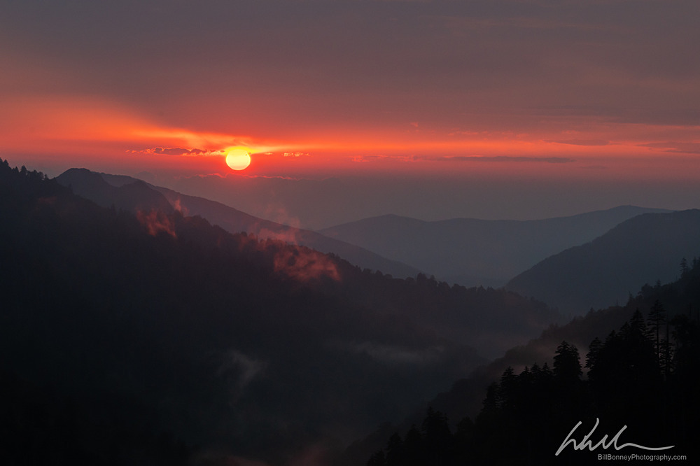 DSC_8755-Edit - Landscapes...