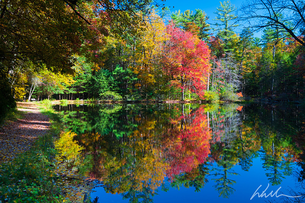 DSC_3954-2 - Landscapes...