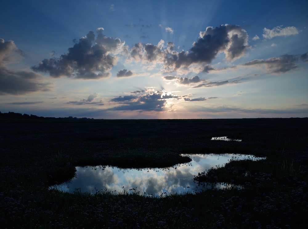 Limited edition photograph of salt marshes