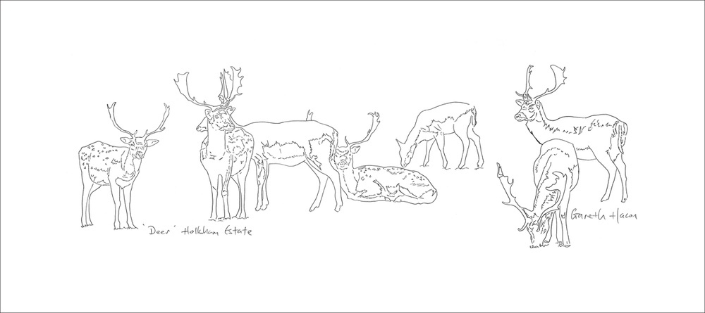 Holkham Deer - Pano - Mini