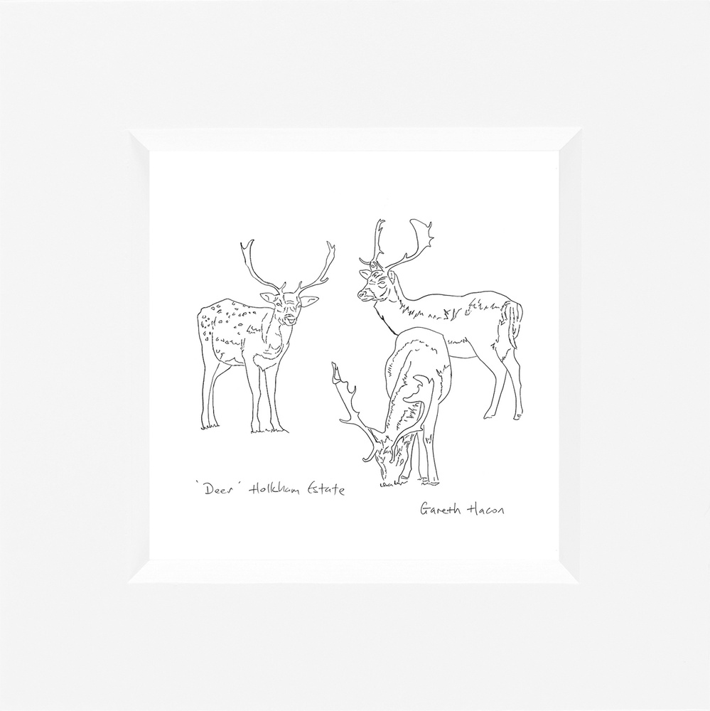 Deer - Holkham - Line Art Square
