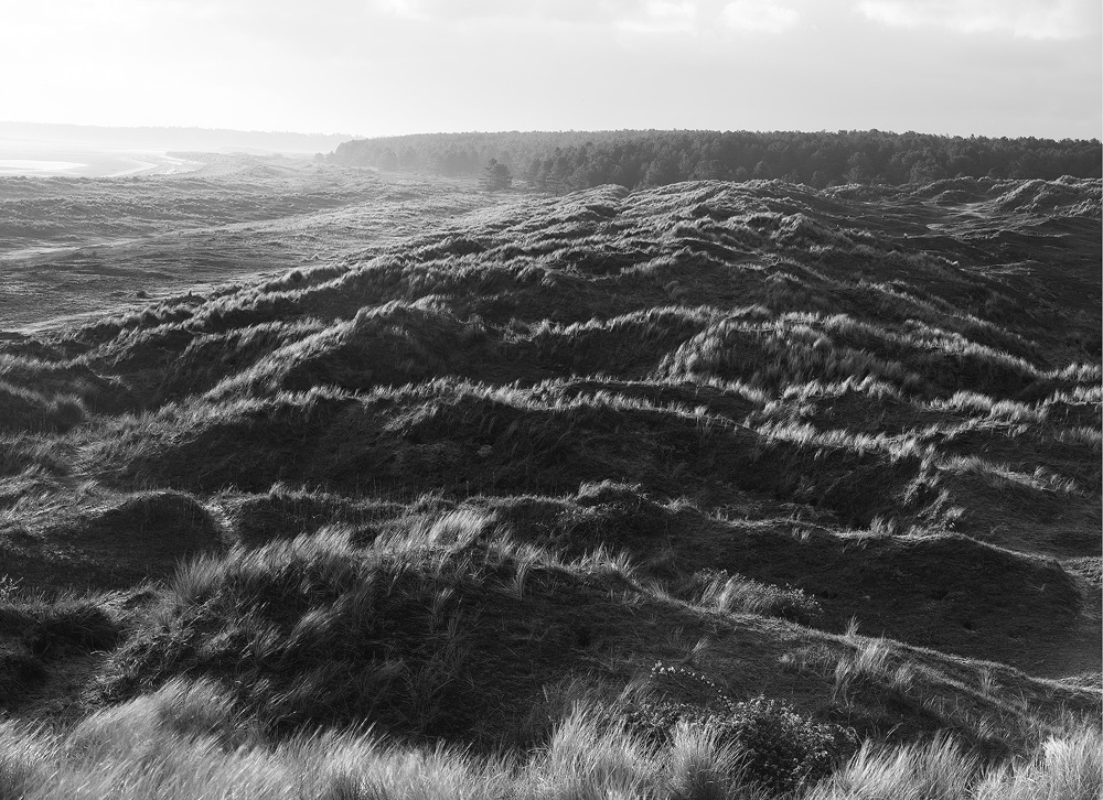 Limited edition photograph of “Holkham Beach” along the North Norfolk coastline