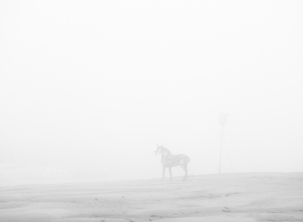 Limited edition photograph of North Norfolk, The Lifeboat Horse - Wells-next-the-Sea
