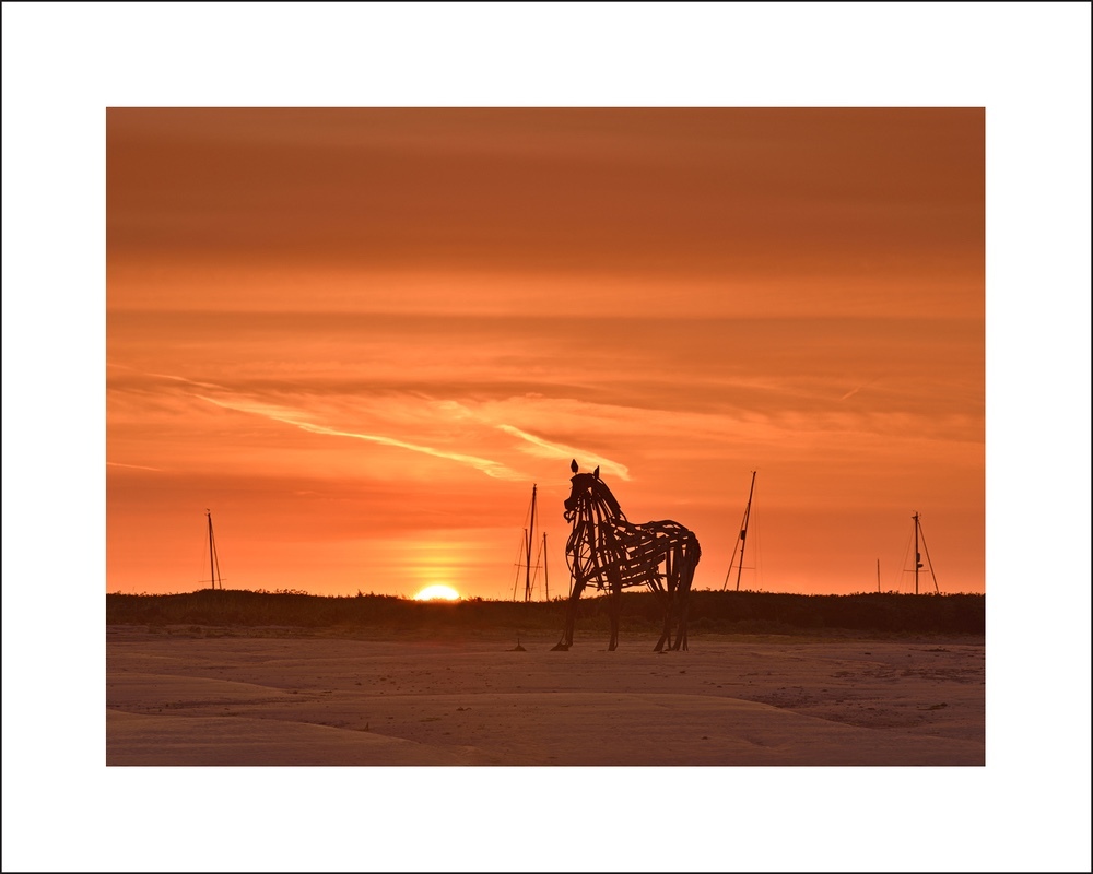 'Sunrise' Lifeboat Horse, Wells Quay - Best of North Norfolk