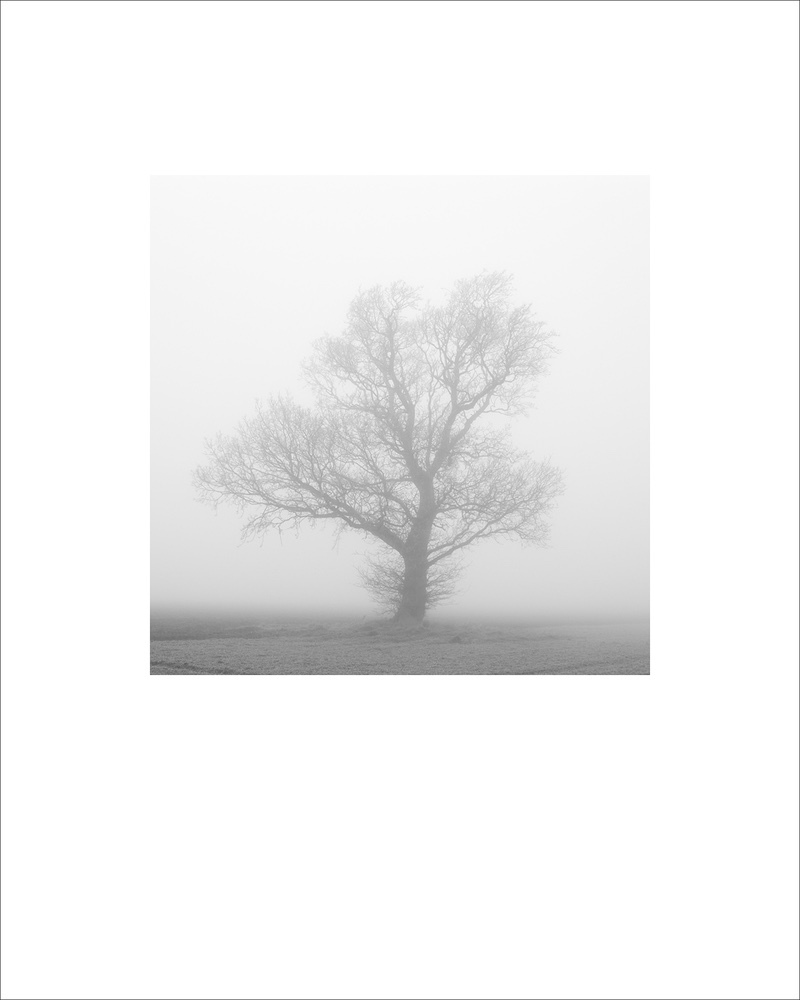  - Square Fine Art Editions 1/500