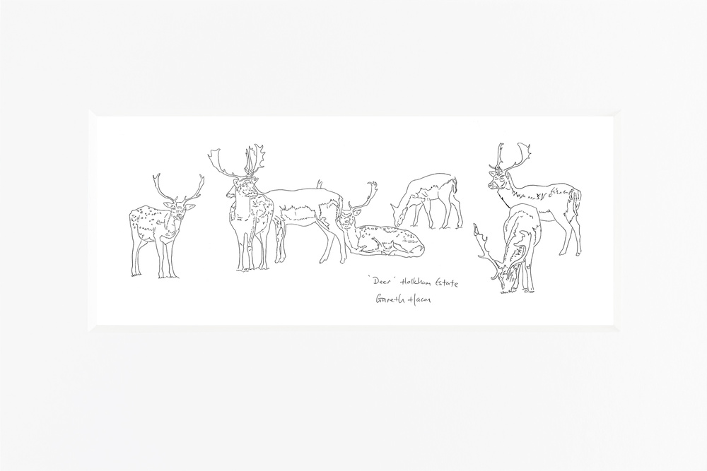 Holkham Deer - Line Art Pano