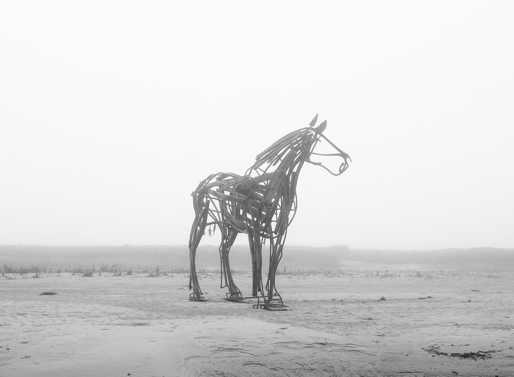 Limited edition photograph of North Norfolk, The Lifeboat Horse - Wells-next-the-Sea