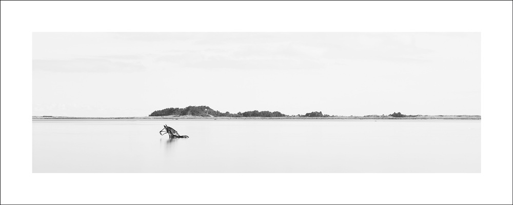 Lifeboat Horse, Wells-next-the-Sea - Panoramic
