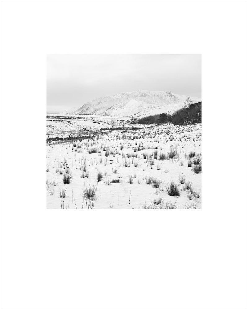  - Square Fine Art Editions 1/500
