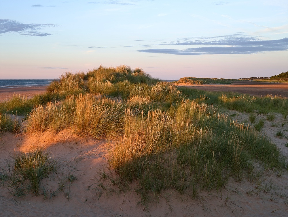 Limited edition photograph titled “Dune - Holkham Beach” along the North Norfolk coastline