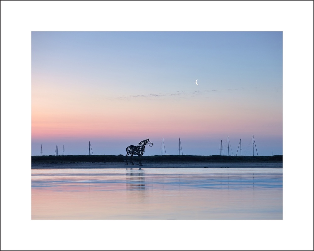 'Lifeboat Horse' Wells Quay - Best of North Norfolk