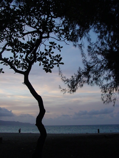 Maui - Sky, Water, Land
