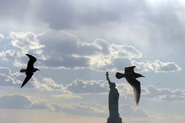  - New York