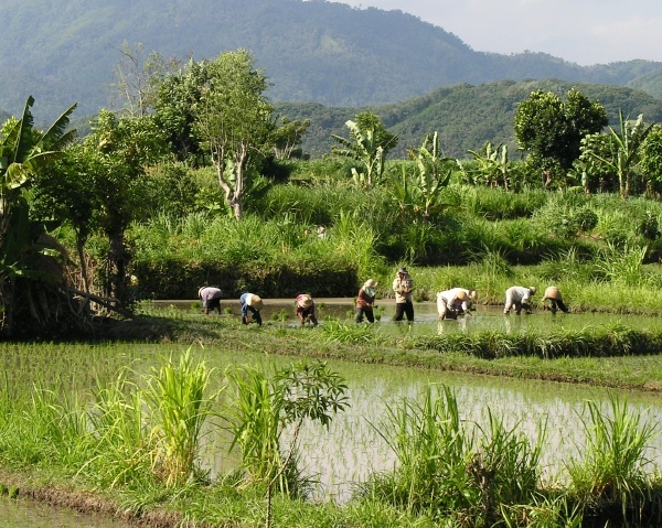  - Bali