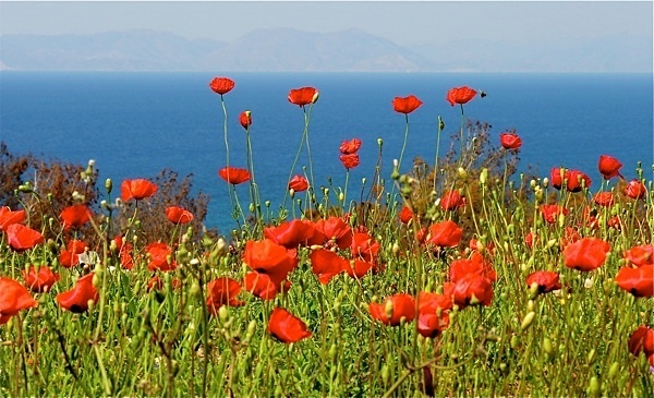  - Greece