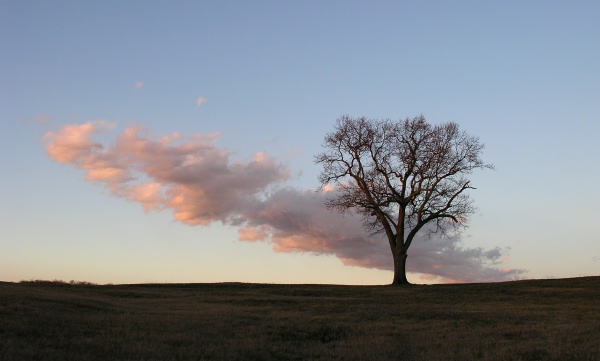  - Tennessee
