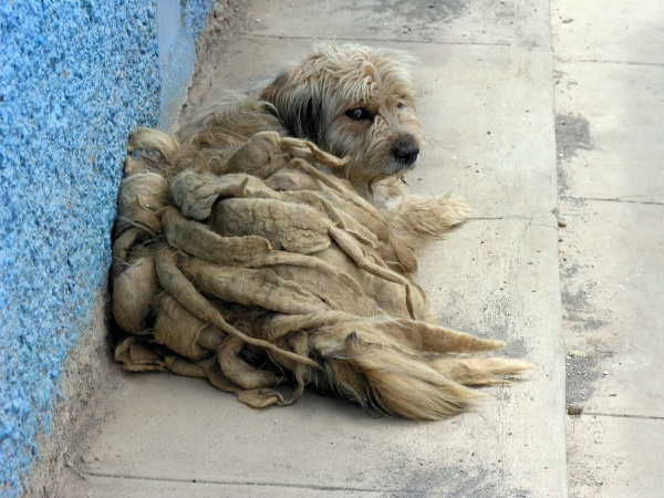  - Peru UNICEF